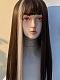 Evahair 2021 New Style Brown and Side Blonde Long Straight Synthetic Wig with Bangs