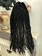 Preorder--Evahair 2021 New Style 22'' Black Long Braided Lace Front Wig