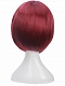 Evahair 2022 New Style Dark Red Short Straight Synthetic Wig with Bangs