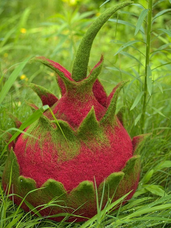 Magic Elf Witch Pitaya Mori Hat