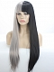 HALF BLACK AND HALF GREY STRAIGHT QUITE LONG SYNTHETIC LACE FRONT WIG