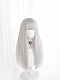 Evahair Long Silver Straight Synthetic Wig with Bangs
