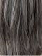 Evahair 2021 New Style Grey Medium Straight Synthetic Lace Wig